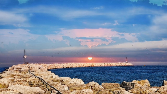 天博体育官网男士室内健身服吸汗好吗