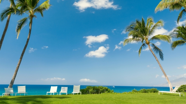 天博体育官网打篮球用器材怎么练好